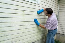 Best Siding Painting and Refinishing  in Lynchburg, TN